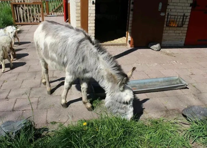 7 Person House With Garden, Firepit, Swimming Lake, Hammock, Child Friendly, In- And Outside Playground, Slide, And Great Coffee